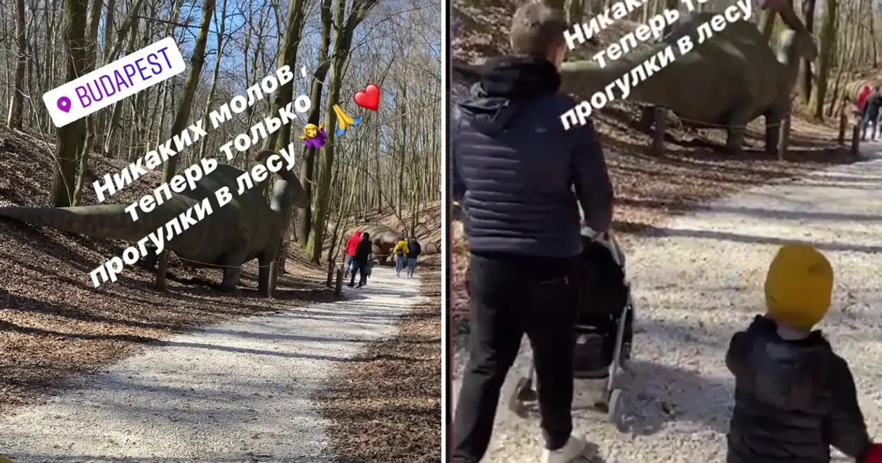 «Теперь только прогулки в лесу». Жена Реброва показала, как Сергей гуляет с детьми в парке ❤️
