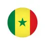 Сборная Сенегала по баскетболу