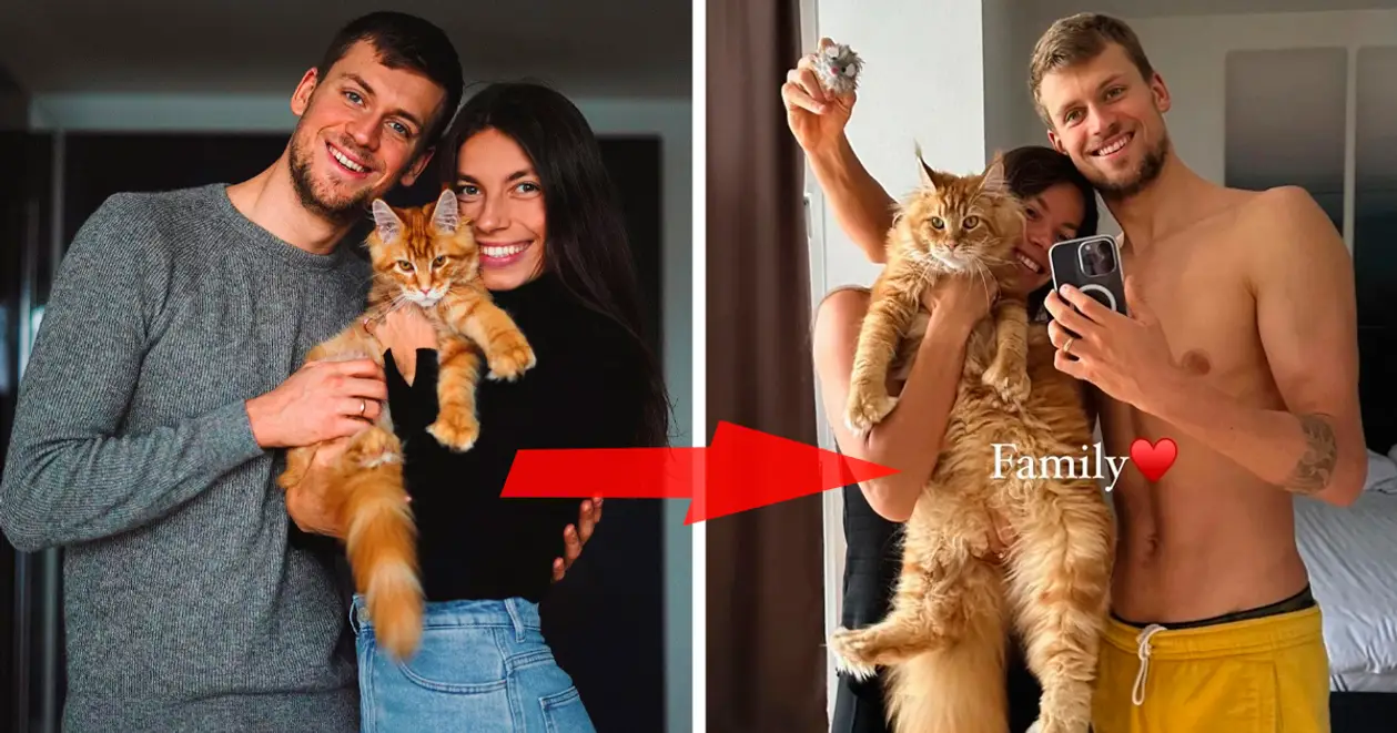 Подружжя Романчуків показало свого рудого кота. Справжній велетень 😲