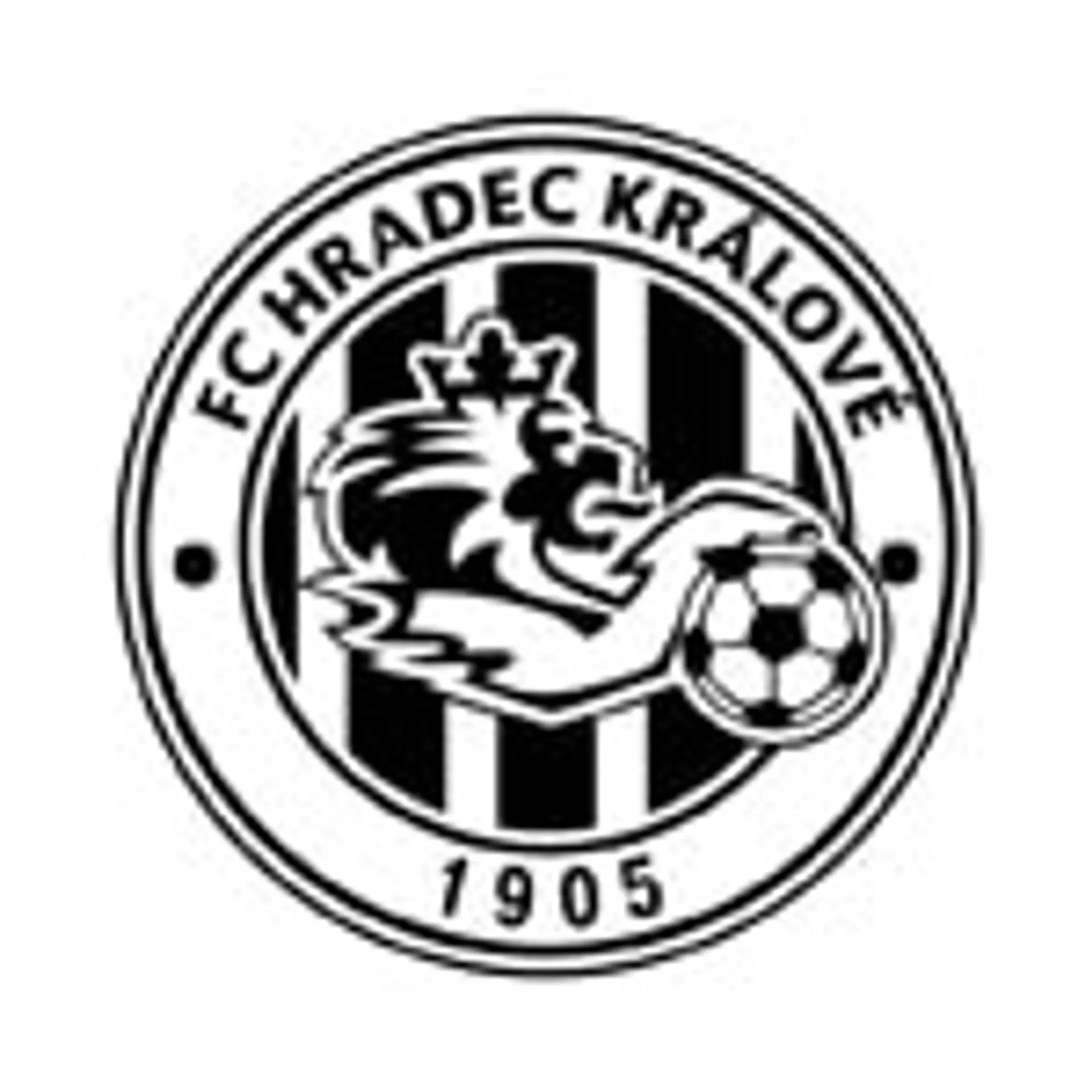 FC Hradec Kralove Squadra