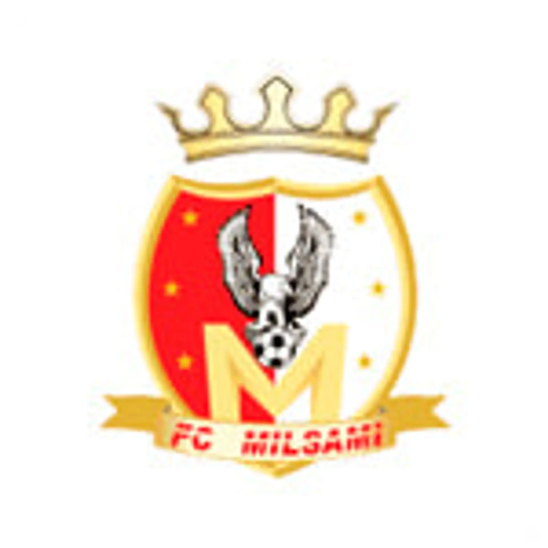 FC Milsami Squad